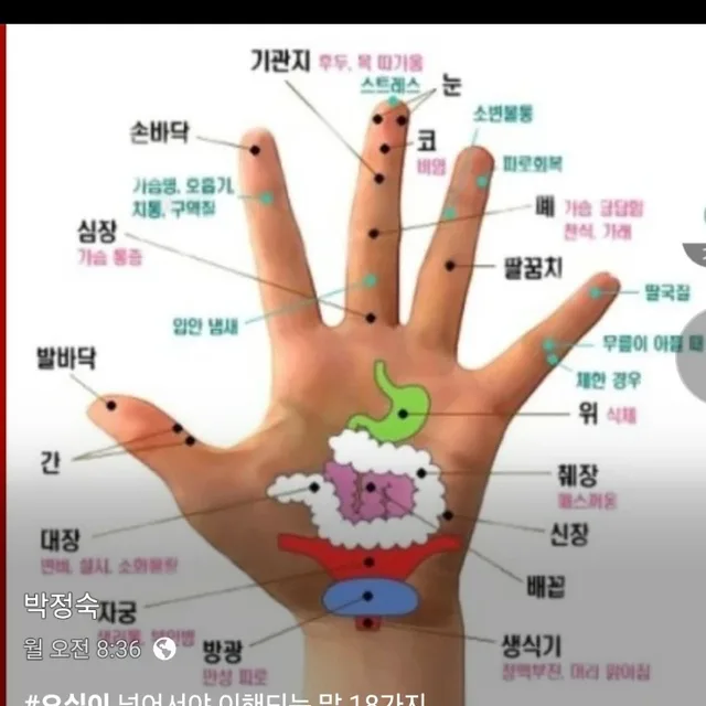 비비