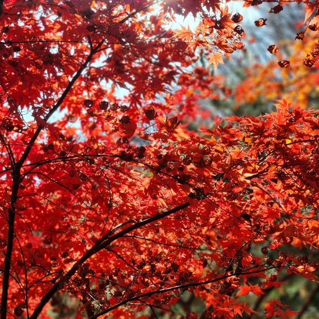 소하1동