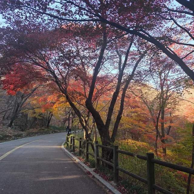 센티