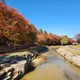 당근87