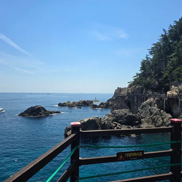 페라리