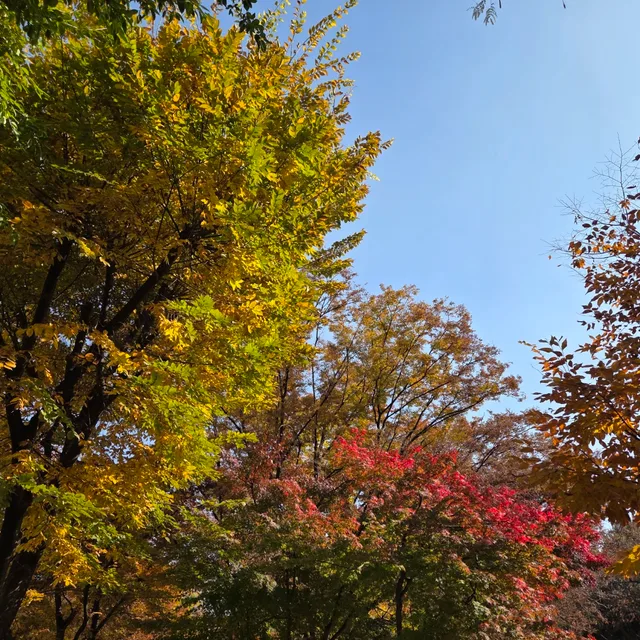 만찐두빵짱