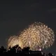 파파