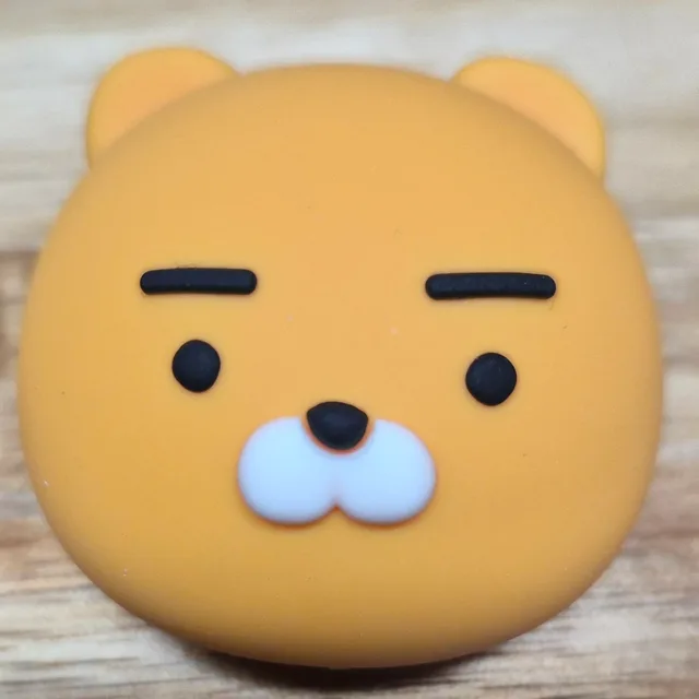 곰같은라이언