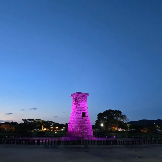 데이지
