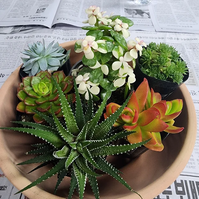 산뜻한매일