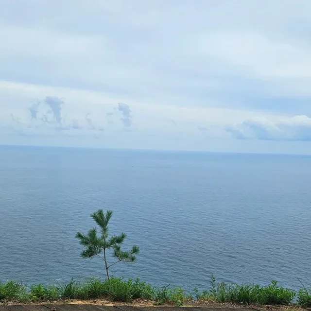 교1동