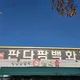 팽성판다팜