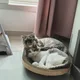 진우연