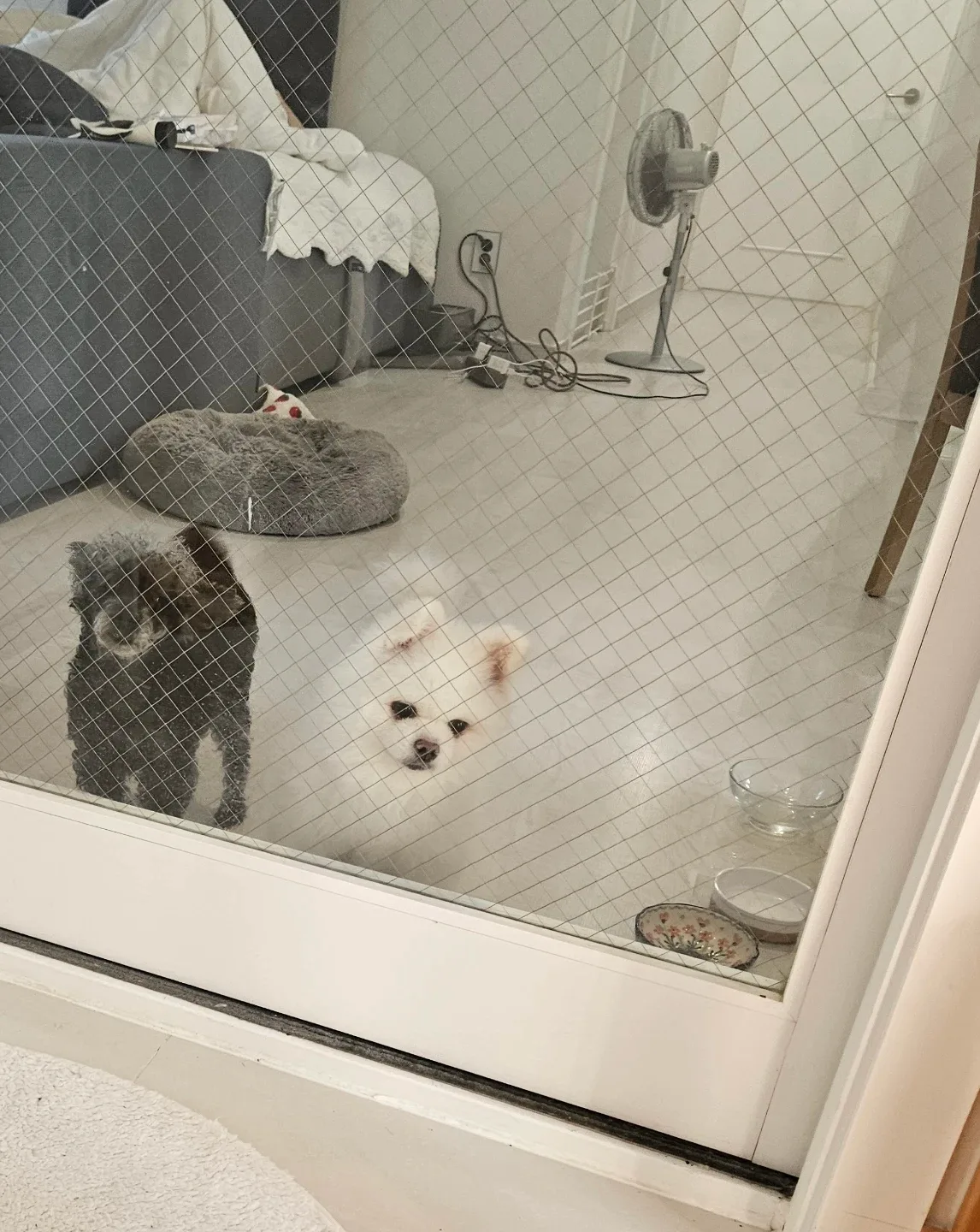 가디