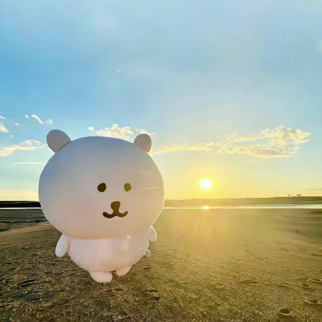 채원이