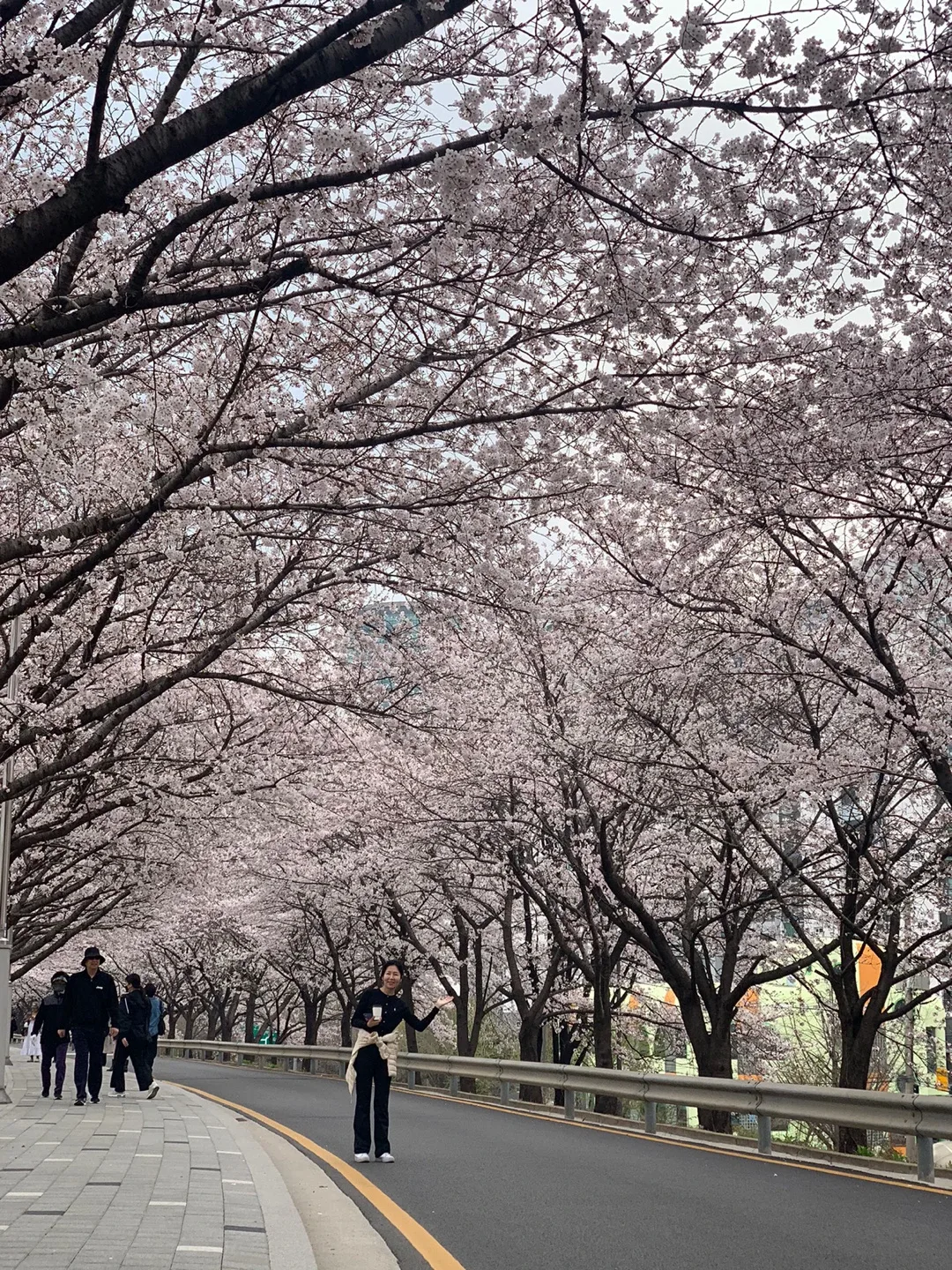 맑음무지개