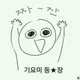 땅콩