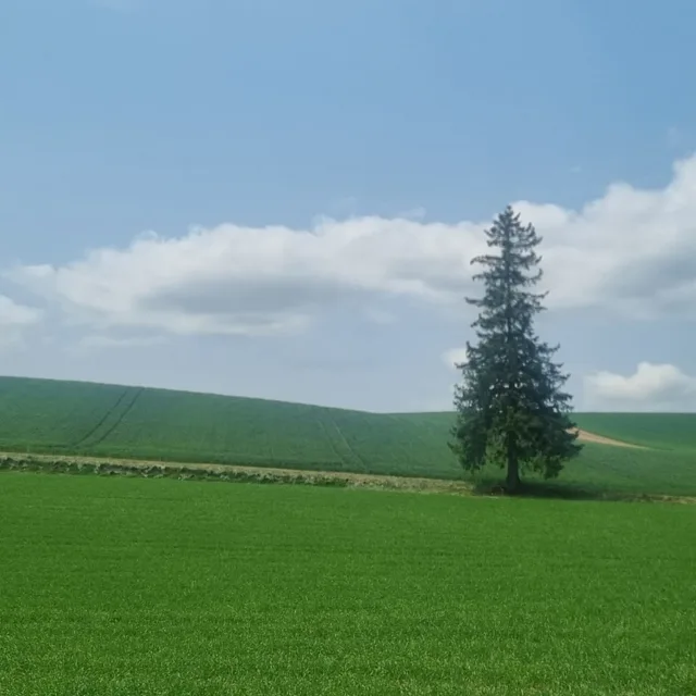 당근당근부산