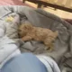 베베2