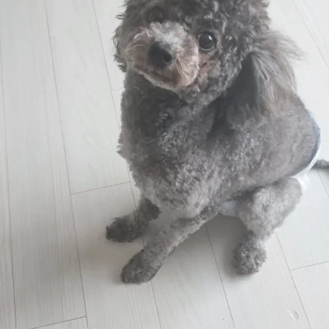 개부자