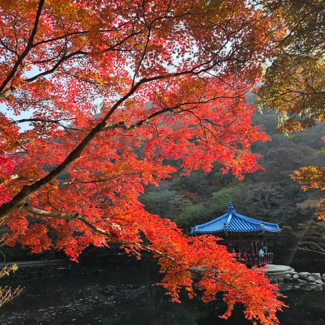 메리언니