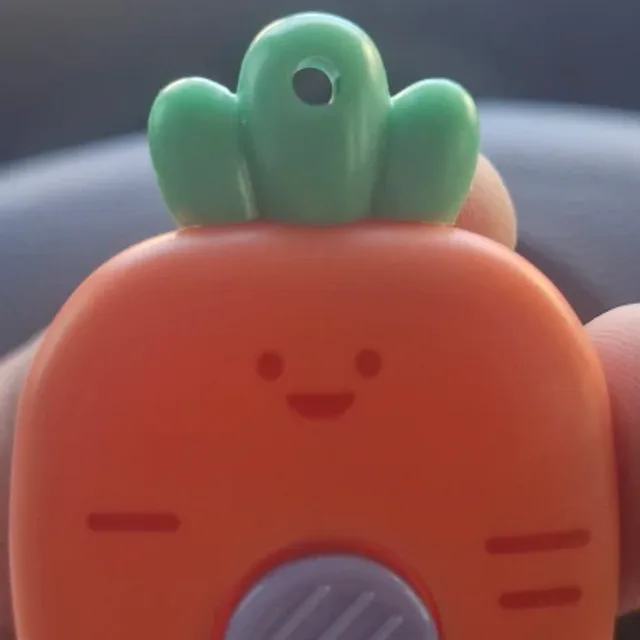 밥먹고당근만