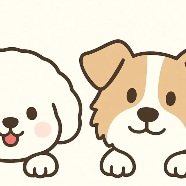 내새꾸들