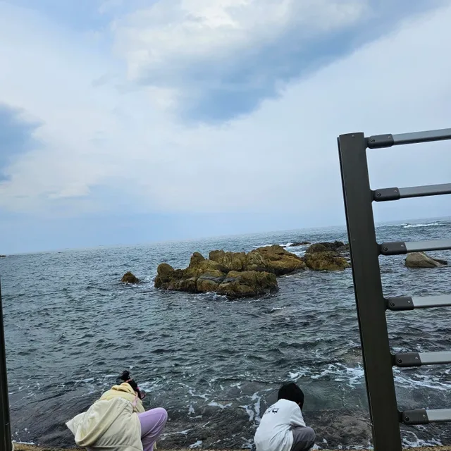 로찬파파