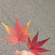 살아보자