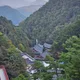 골든댕댕이