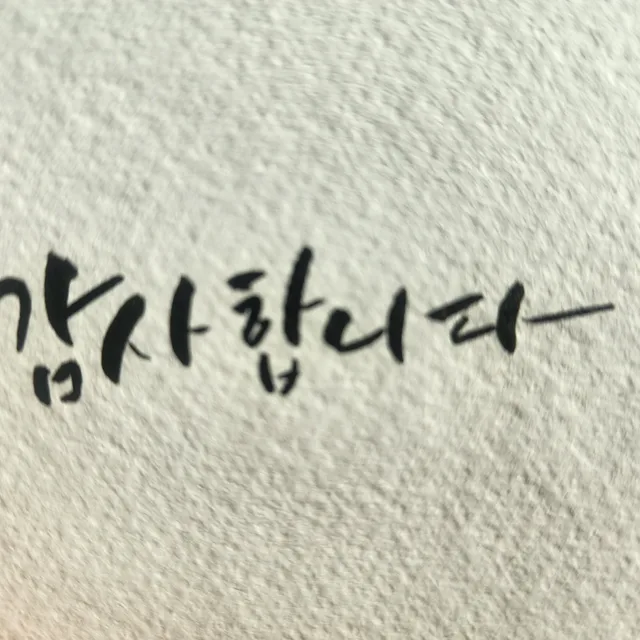 감사합니다