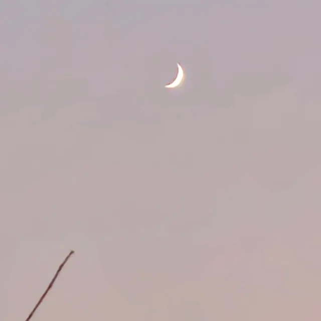 나인트리