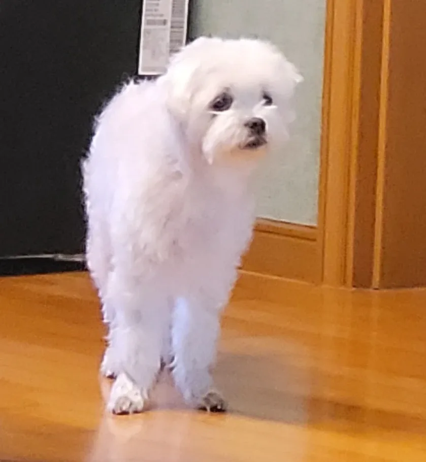 옆집수정과빚는곳