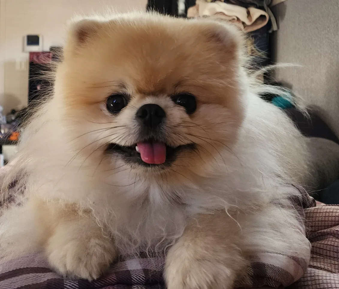 전세계훈남