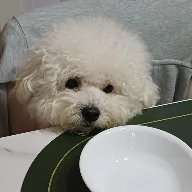 토로리