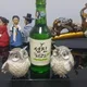 성진처럼