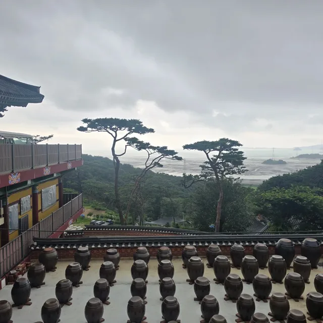 서란