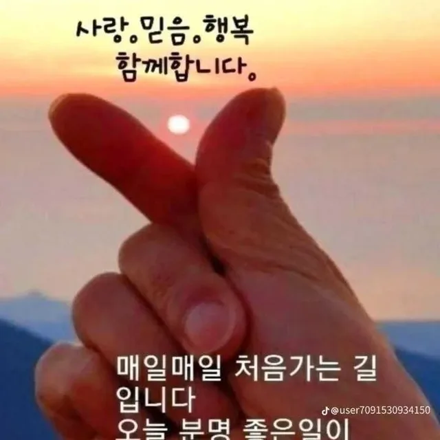 당근희야