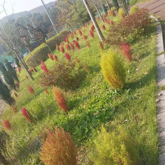 오똥