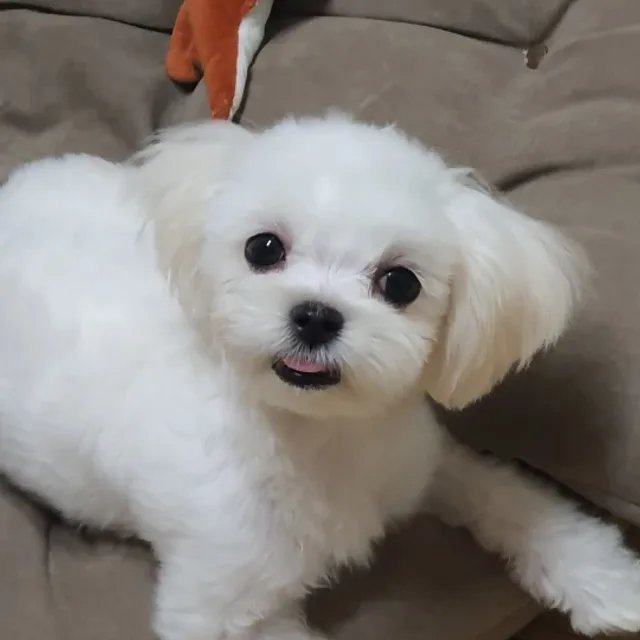 백호랜드