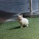 리얼카페