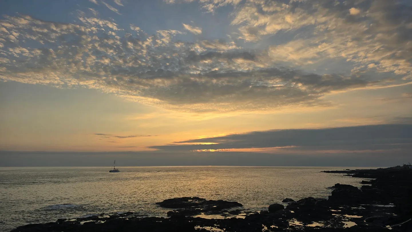 놀면뭐하니