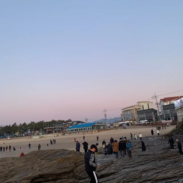나무