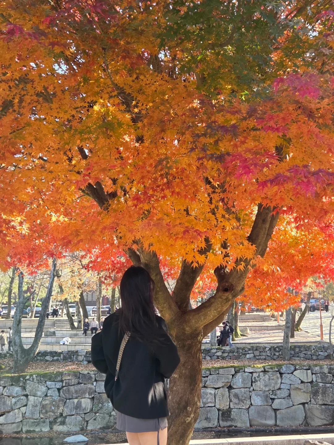 즈몽에이드