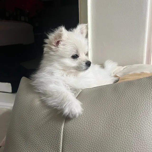 푸름이다웅이