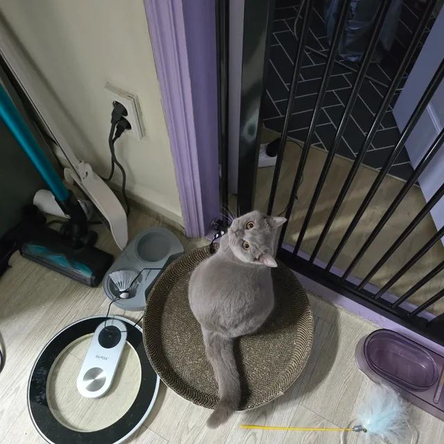 루이