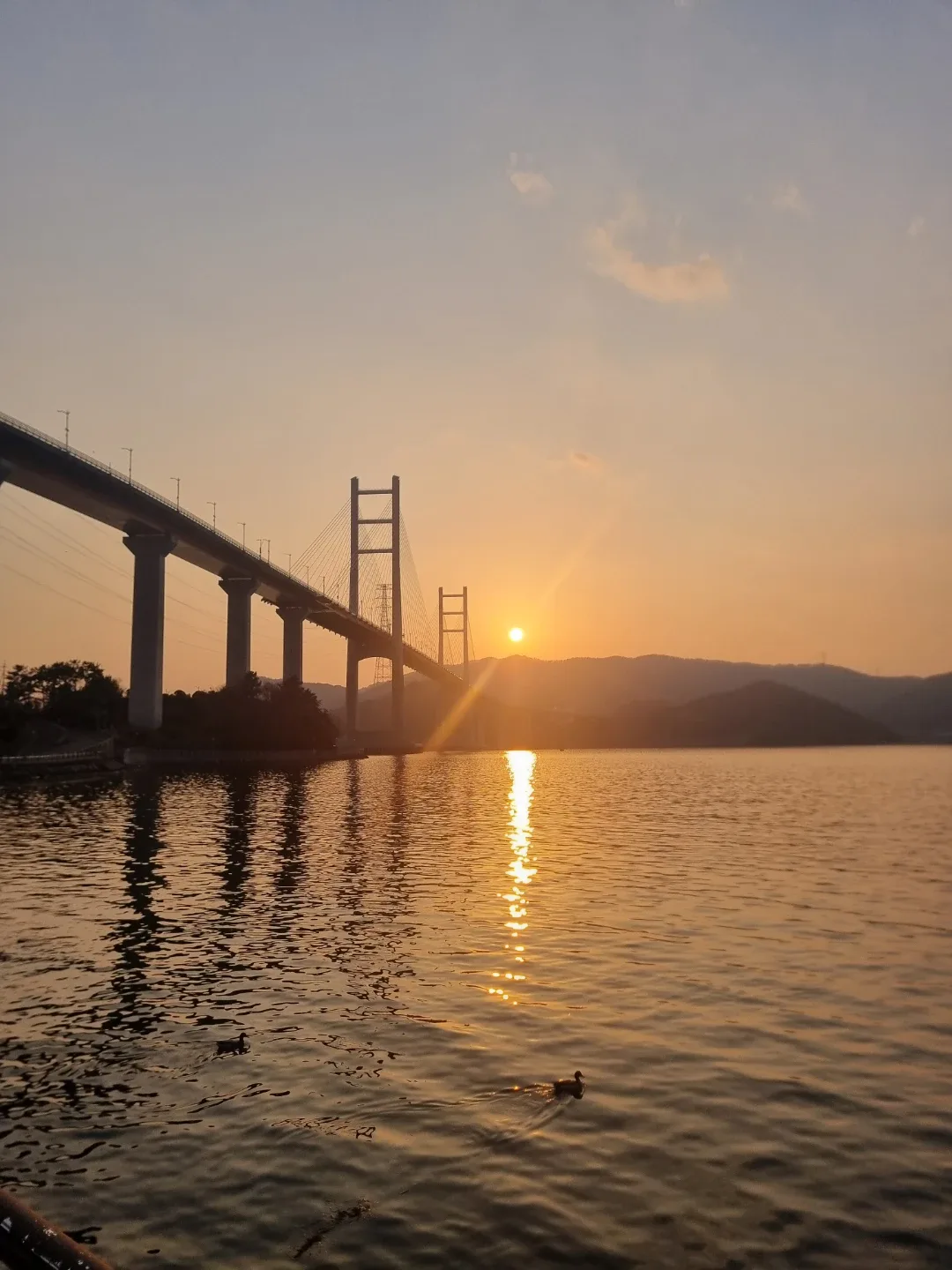 부추당근
