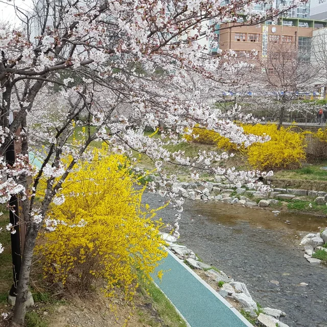 당근만만세
