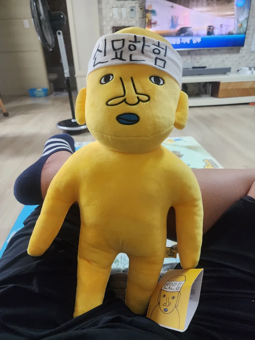 앗싸보성