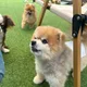 허허