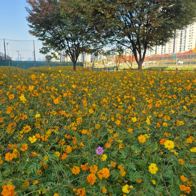 겨울아이