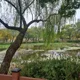 변천사
