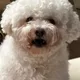 뚜뚜