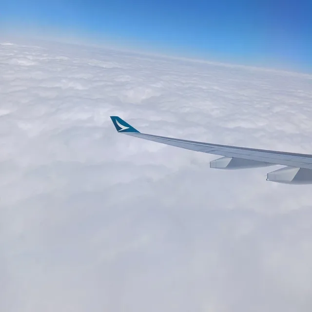 날아라당근